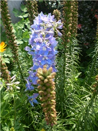 34d70ee3-Picture 6404.jpg